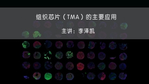 视频回放：组织芯片（TMA）的主要应用