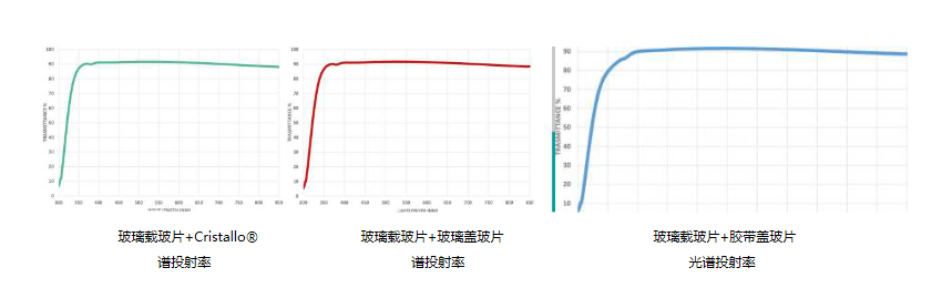 微信截图_20200618111034.png