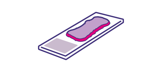 02_sample_thickness.png