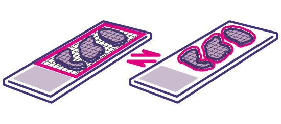 04_automatic_tissue_detection.png