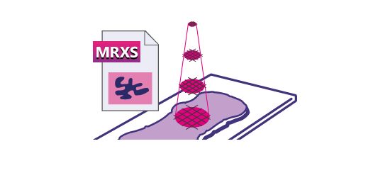 10_mrxs_multilayer_scanning.png