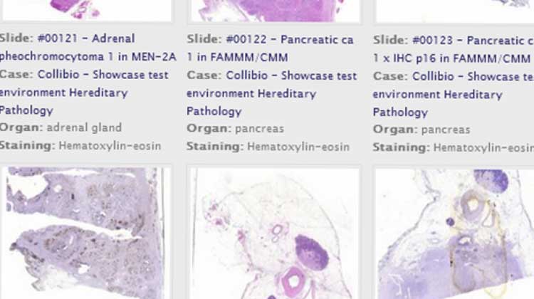 5-pathonet.jpg