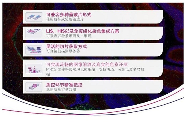 在数字病理工作流程中建立协作式工作环境
