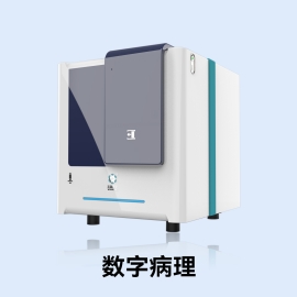 数字病理 副.jpg