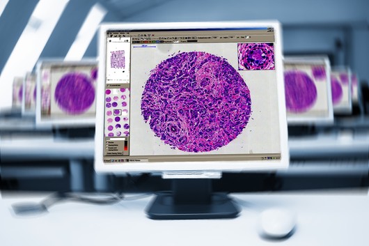 1506072111824306.jpg d8.jpg